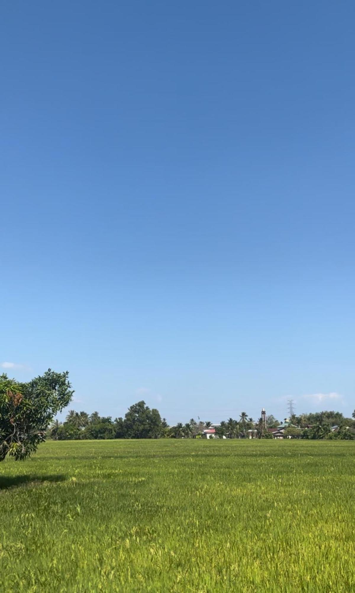 Sunrise Homestay Alor Setar Luaran gambar